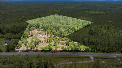 /international/us/1351-sw-state-road-24-chiefland-fl-110103048800/