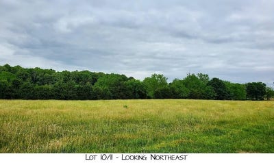 /international/us/pleasant-view-rd-lot-10-brighton-mo-110108240277/