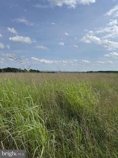 /international/us/lot-2-glebe-dr-clear-brook-va-110101007501/