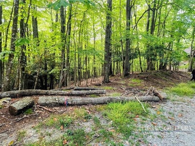 /international/us/103-spicewood-lane-beech-mountain-nc-110120085533/