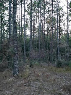 /international/us/0-gopher-ridge-rd-samson-al-110100062182/