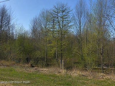 /international/us/buttonbush-lane-hazle-township-pa-110107475730/