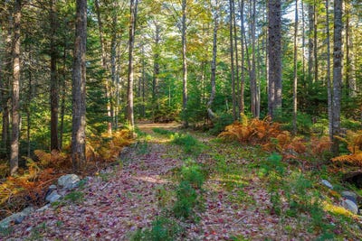 /international/us/map-17-bear-springs-lane-surry-me-110120414764/