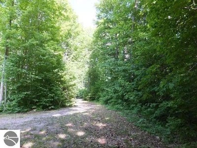 /international/us/2228-northwoods-drive-benzonia-mi-110119723227/