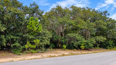 /international/us/se-malauka-loop-run-road-ocklawaha-fl-110120151207/