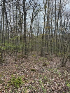 /international/us/10513-hilltop-drive-corning-ny-110108015976/