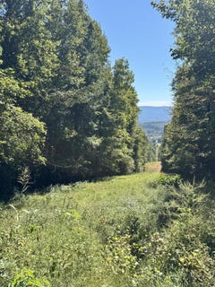 /international/us/mountain-view-drive-whitwell-tn-110120509007/