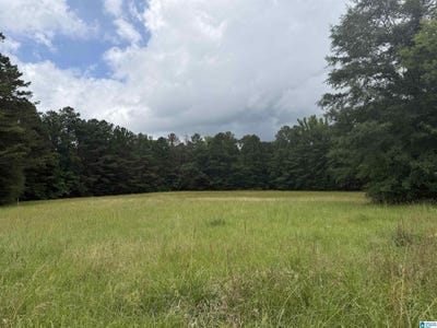 /international/us/hall-burton-road-lot-1-sumiton-al-110108886011/
