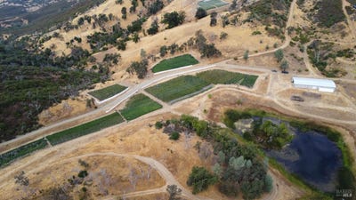 /international/us/lower-lake-ca-110110375932/