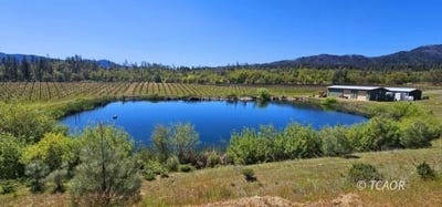 /international/us/510-oliva-dr-hayfork-ca-110108919706/