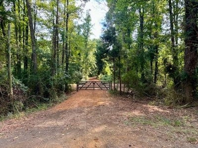 /international/us/1317-n-main-linden-tx-110095450659/