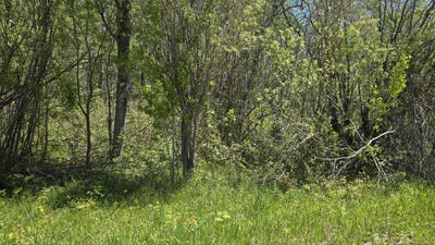 /international/us/l-1-12-mill-street-lot-1-12-levering-mi-110108532116/