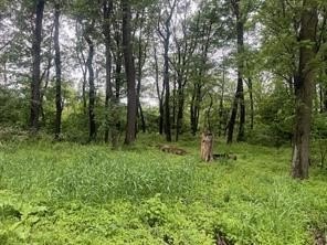 /international/us/lots-89-and-90-laurel-summit-road-jenner-twp-pa-110099912225/?lang=zh-tw