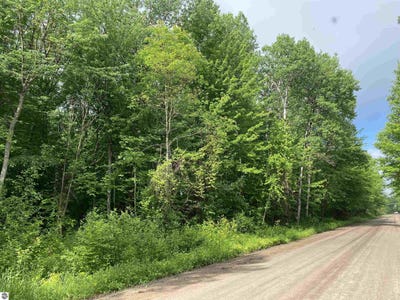 /international/us/15991-bentley-road-thompsonville-mi-110090944493/