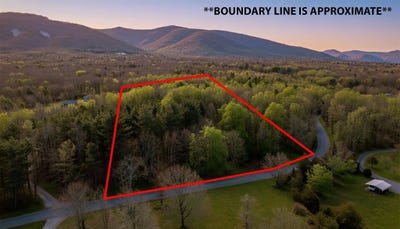 /international/us/kaolin-spring-ln-lot-24-greenville-va-110104901907/