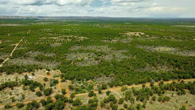 /international/us/850-canyon-ridge-road-montrose-co-110107440569/