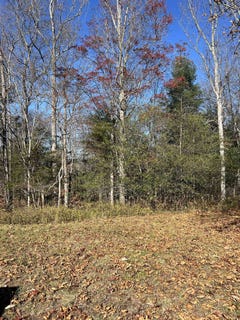 /international/us/anderson-farm-rd-rockbridge-baths-va-110104445141/