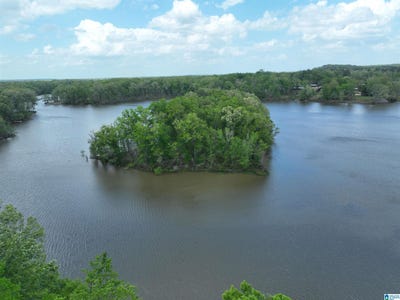 /international/us/county-road-225-lot-1-minter-al-110109438791/