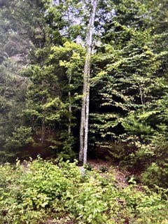 /international/us/163-sandy-acres-drive-sullivan-me-110107401965/