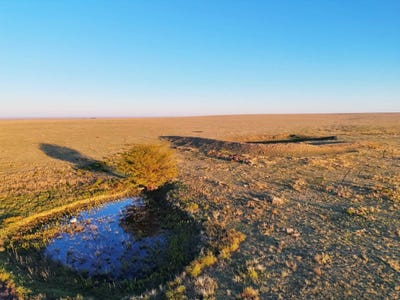 /international/us/county-road-37-hartman-co-110120424798/
