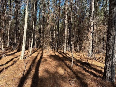 /international/us/1107-larmon-forks-road-dahlonega-ga-110120459291/