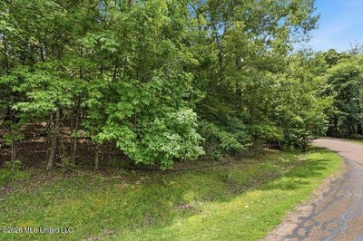 /international/us/dover-lane-madison-ms-110108425789/