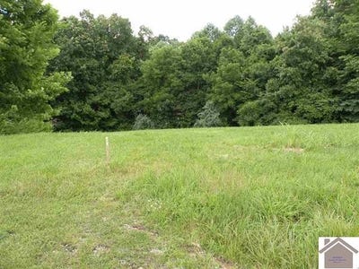/international/us/ooo-corinne-road-lot-14-eddyville-ky-110105866951/