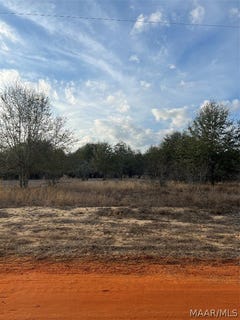 /international/us/deer-loop-lot-41-camden-al-110081757979/