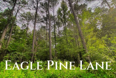 /international/us/209-eagle-pine-ln-broken-bow-ok-110101075562/?lang=fr