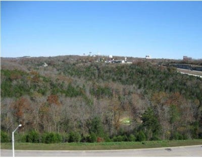 /international/us/ozark-scenic-drive-branson-mo-110120681862/