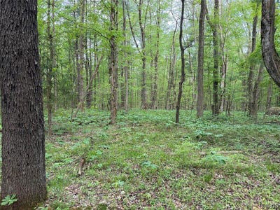 /international/us/kellogg-hill-road-south-dayton-ny-110108346979/