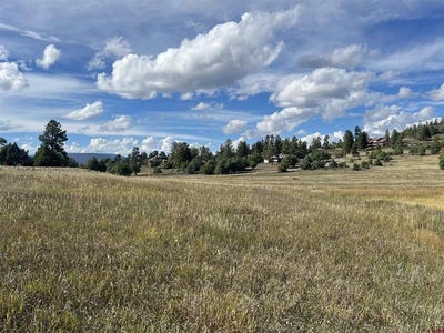 /international/us/1361-hersch-avenue-pagosa-springs-co-110110277514/