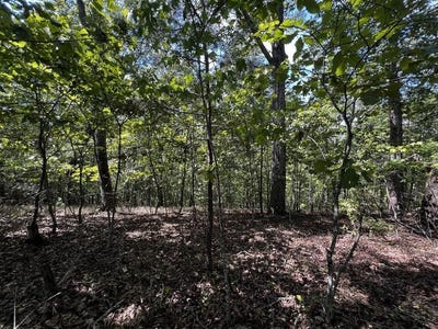 /international/us/1407-foxhound-trail-ranger-ga-110120081949/