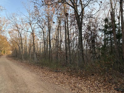 /international/us/hylton-drive-norwood-mo-110108819751/
