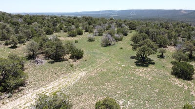 /international/us/swayback-trail-lot-16-corona-nm-110100867205/?lang=zh-tw