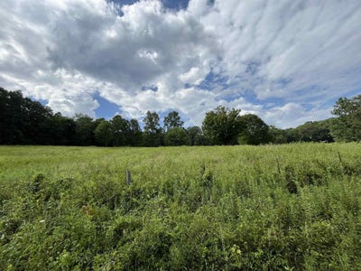 /international/us/lot-2-keylon-hollow-road-ten-mile-tn-110100813957/