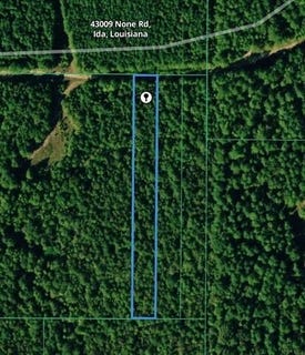 /international/us/43009-none-road-lot-0-ida-la-110106672704/