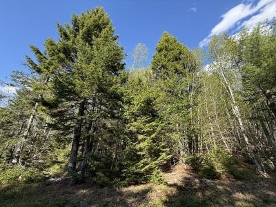 /international/us/pidgeon-point-road-lot-13-whiting-me-110108144184/