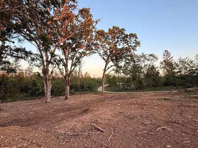/international/us/haglersville-rd-parcel-1-mansfield-tn-110107805025/
