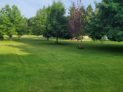 /international/us/10041-brooklawn-court-jerome-mi-110100334388/