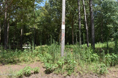 /international/us/6-gray-academy-road-ashland-ms-110101066513/?lang=id