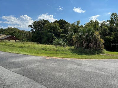 /international/us/redtree-drive-leesburg-fl-110101112945/?lang=zh-tw