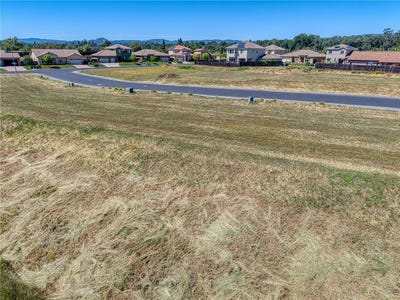 /international/us/2776-lizzy-lakeport-ca-110107910283/