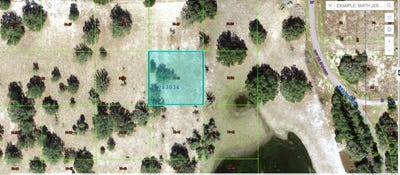 /international/us/libby-road-babson-park-fl-110096482037/