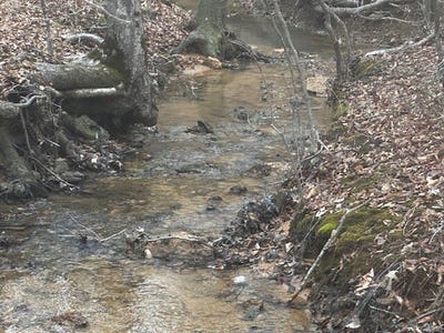/international/us/coker-spur-rd-red-bay-al-110106150253/