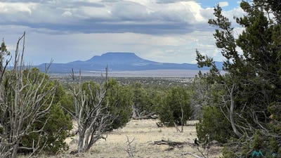 /international/us/squaw-pass-road-quemado-nm-110102097959/