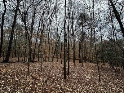 /international/us/lee-road-367-valley-al-110108234347/