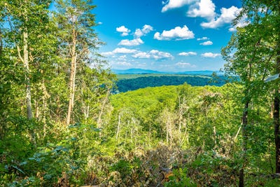 /international/us/0-clearview-drive-ringgold-ga-110093439229/