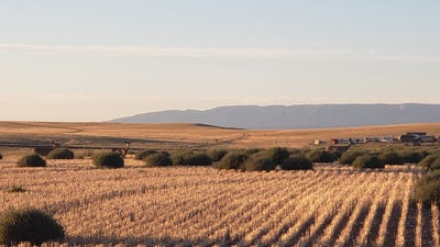 /international/us/antelope-road-shawmut-mt-110108443085/
