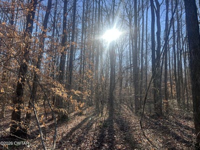 /international/us/excalibur-trail-lot-261-cedar-grove-tn-110104480189/
